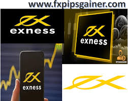 Understanding Exness MT4 Server IP for Optimal Trading